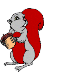 Download free squirrels animated gifs 4
