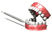 Download free Teeth animated gifs 9