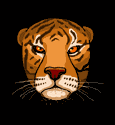 Download free tigers animated gifs 3