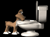 animated gifs toilets