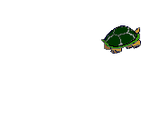 Download free tortoises animated gifs 15