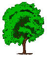 Download free Trees animated gifs 15