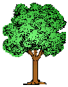 Download free Trees animated gifs 9
