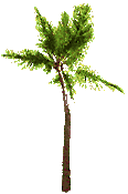 Download free Trees animated gifs 1