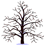 Download free Trees animated gifs 19