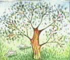 Download free Trees animated gifs 7