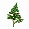 Download free Trees animated gifs 2