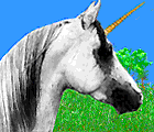Download free unicorns animated gifs 9