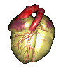 Download free vitals animated gifs 25