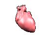Download free vitals animated gifs 20