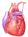 Download free vitals animated gifs 3