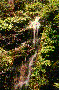 Download free waterfalls animated gifs 15