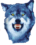 Download free Wolves animated gifs 12