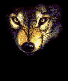 Download free Wolves animated gifs 8