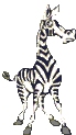 Download free Zebras animated gifs 6