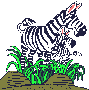 Download free Zebras animated gifs 4