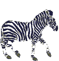 Download free Zebras animated gifs 2