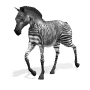 Download free Zebras animated gifs 1