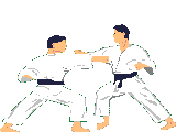 Download free judo animated gifs 2