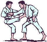 Download free judo animated gifs 3