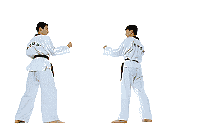Download free judo animated gifs 6