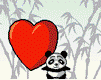animated gifs pandas