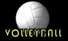 Download free volleyball animated gifs 3