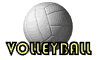 Download free volleyball animated gifs 5